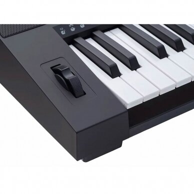 PORTATYVUS SINTEZATORIUS MEDELI MK-401 7