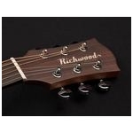 Richwood A-60-CE Master Series Handmade Auditorium OOO Guitar 2