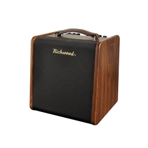 Richwood RAC-50 Acoustic guitar amplifier