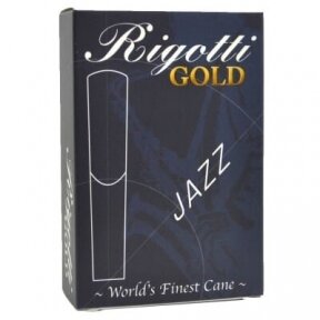 RIGOTTI GOLD RGA-20 JAZZ 2.0