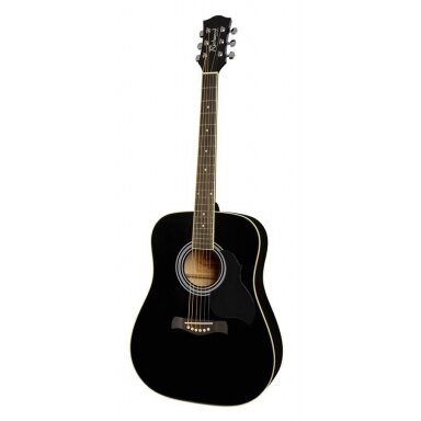 Akustinė Gitara Richwood RD-12-BK Artist Series Dreadnought Black