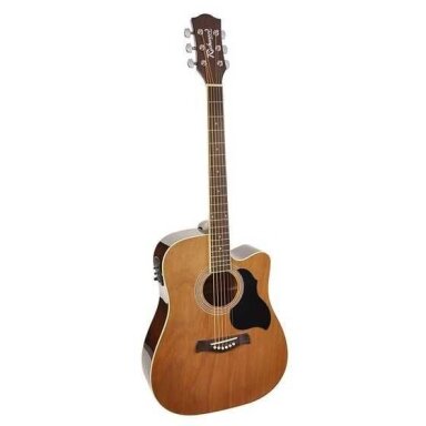 Richwood RD-12CE Artist Series Dreadnought - Natural