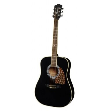 Acoustic Guitar Richwood RD-16BK Artist Series Dreadnought Black