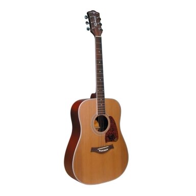 Acoustic Guitar Richwood RD-17C Artist Series
