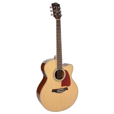Richwood RJ-17CE Artist Series acoustic guitar