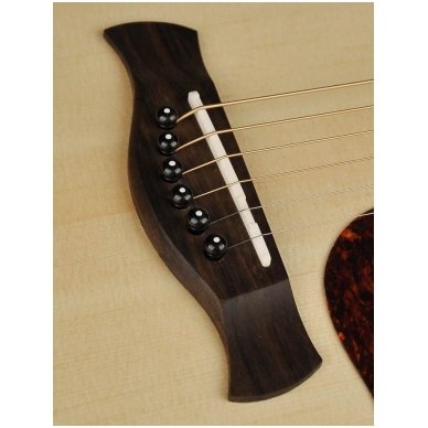 Richwood D-20CE Master Series handmade dreadnought guitar 3 Richwood D-20CE Master Series handmade dreadnought guitar 3