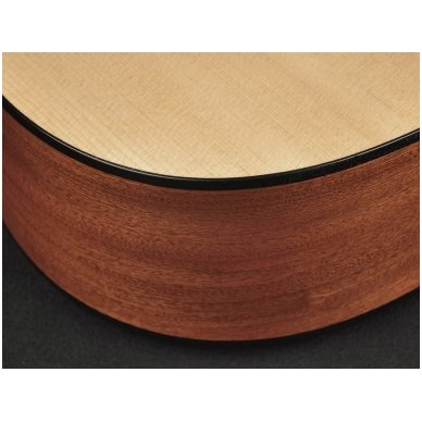 Richwood D-20CE Master Series handmade dreadnought guitar 4 Richwood D-20CE Master Series handmade dreadnought guitar 4