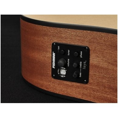 Richwood D-20CE Master Series handmade dreadnought guitar 5 Richwood D-20CE Master Series handmade dreadnought guitar 5