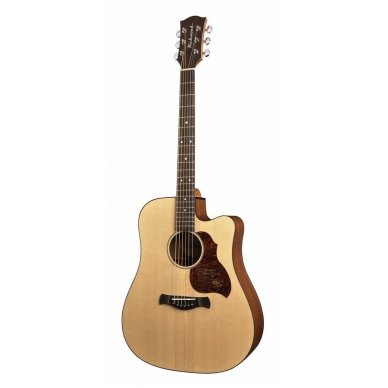 Richwood D-20CE Master Series handmade dreadnought guitar Richwood D-20CE Master Series handmade dreadnought guitar