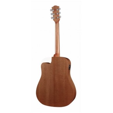 Richwood D-50CE Dreadnought guitar 1 Richwood D-50CE Dreadnought guitar 1