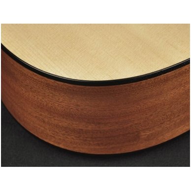 Richwood G-20CE Master Series handmade grand auditorium guitar 5