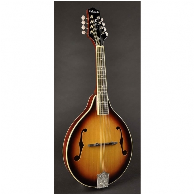 Richwood RSA-60-VS A-Style Mandolin With Spruce Top Richwood RSA-60-VS A-Style Mandolin With Spruce Top