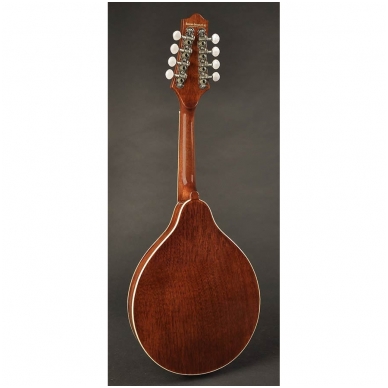 Richwood RSA-60-VS A-Style Mandolin With Spruce Top 1 Richwood RSA-60-VS A-Style Mandolin With Spruce Top 1