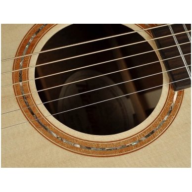 Richwood SWG-110CE Master Series Handmade Songwriter M Guitar 4 Richwood SWG-110CE Master Series Handmade Songwriter M Guitar 4