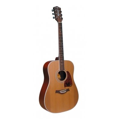 Acoustic Guitar Richwood RD-17C Artist Series