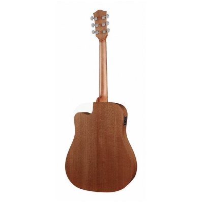 Richwood D-50CE Dreadnought guitar 1 Richwood D-50CE Dreadnought guitar 1