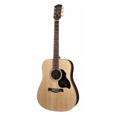 Acoustic Guitar Richwood D-60 Master Series Dreadnought Acoustic Guitar Richwood D-60 Master Series Dreadnought