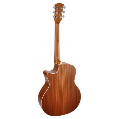 Richwood SWG-110CE Master Series Handmade Songwriter M Guitar 1