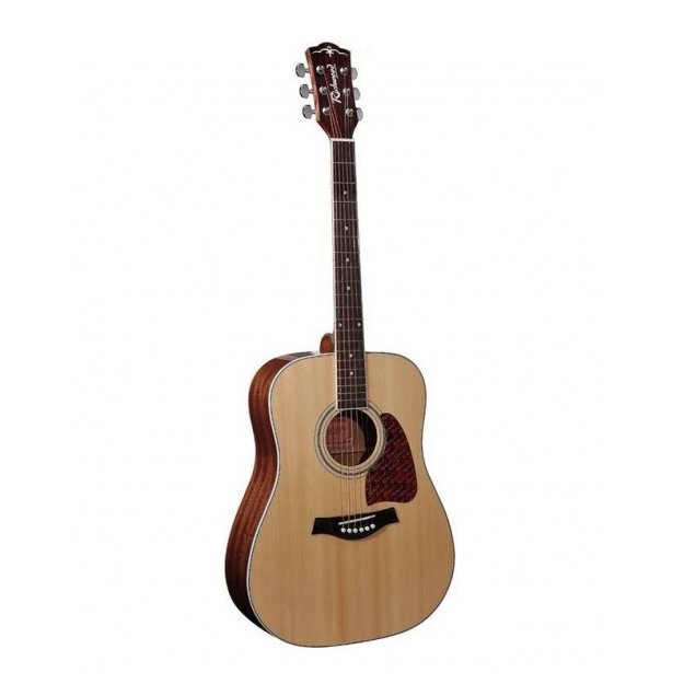 Acoustic Guitar Richwood RD-17 Artist Series Acoustic Guitar Richwood RD-17 Artist Series