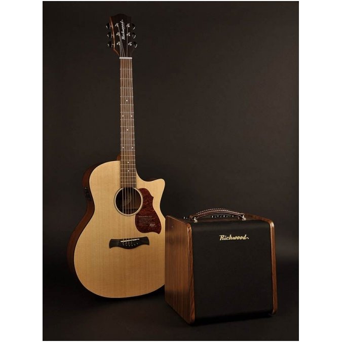 Richwood RAC-50 Acoustic guitar amplifier 4 Richwood RAC-50 Acoustic guitar amplifier 4
