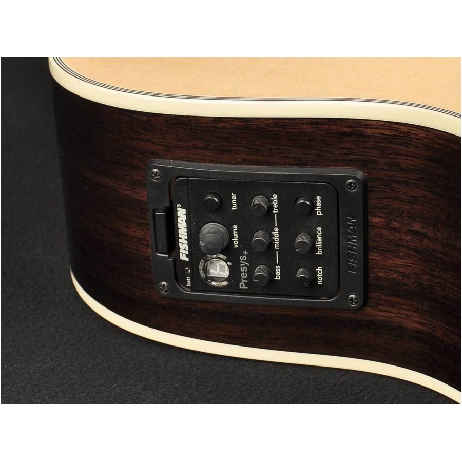 Richwood A-60CE Master Series Handmade Auditorium OOO Guitar 4