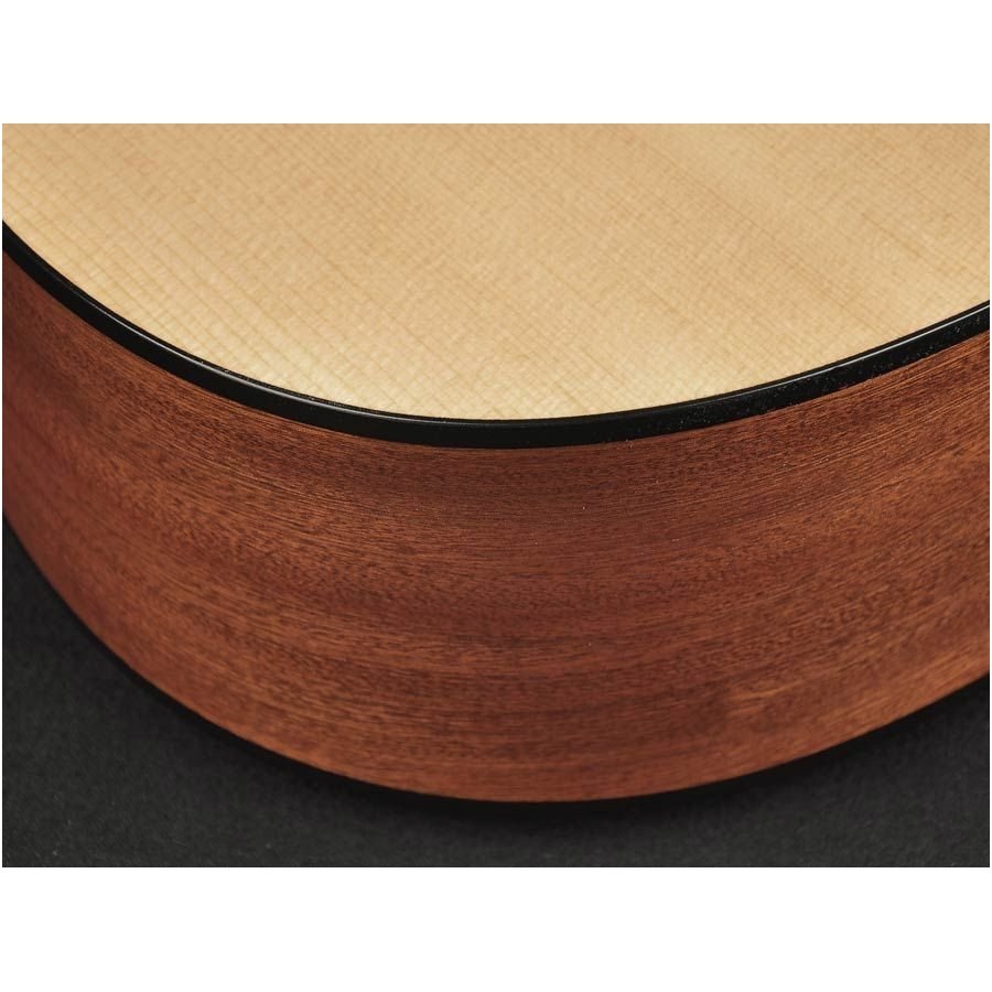 Richwood D-20CE Master Series handmade dreadnought guitar 4 Richwood D-20CE Master Series handmade dreadnought guitar 4