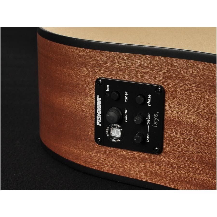 Richwood D-20CE Master Series handmade dreadnought guitar 5 Richwood D-20CE Master Series handmade dreadnought guitar 5