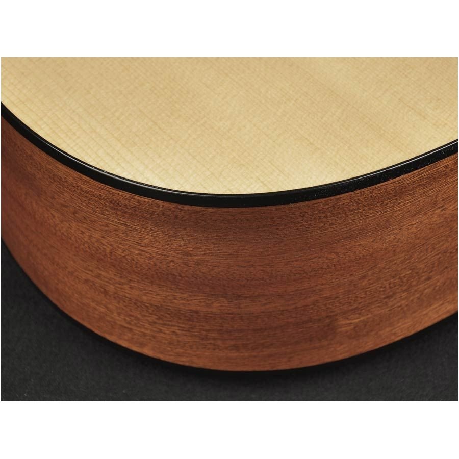 Richwood G-20CE Master Series handmade grand auditorium guitar 5 Richwood G-20CE Master Series handmade grand auditorium guitar 5