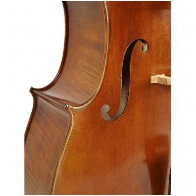 Rudolph RC-1044 Cello 4/4 3