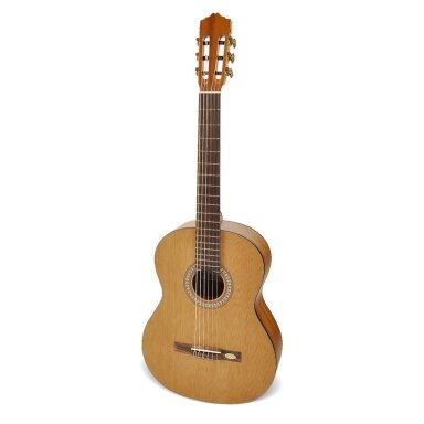 Classical Guitar Salvador Cortez CC-20 Solid Top Artist Series