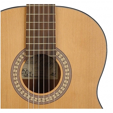Classical Guitar Salvador Cortez CC-20 Solid Top Artist Series 2