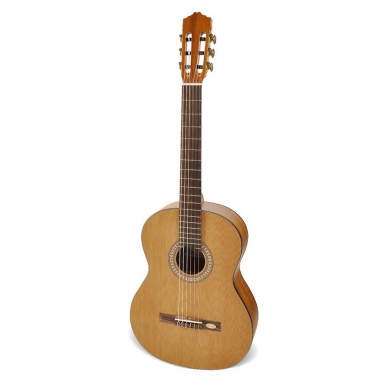 Classical Guitar Salvador Cortez CC-20 Solid Top Artist Series