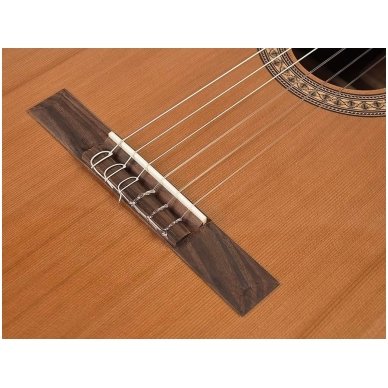 Classical Guitar Salvador Cortez CC-22 Solid Top Artist Series 4 Classical Guitar Salvador Cortez CC-22 Solid Top Artist Series 4