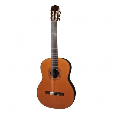 Classical Guitar Salvador Cortez CC-60 Solid Top Concert Series Classical Guitar Salvador Cortez CC-60 Solid Top Concert Series