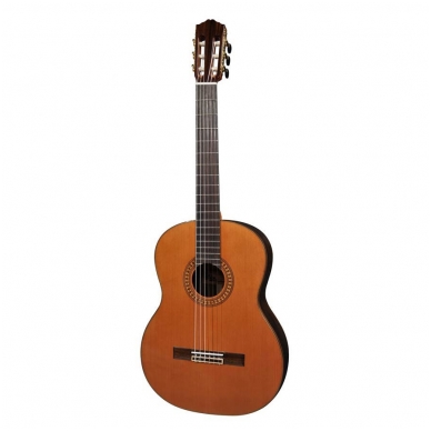 Classical Guitar Salvador Cortez CC-60 Solid Top Concert Series