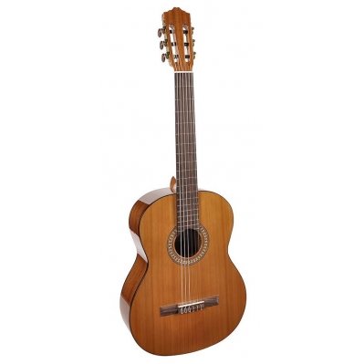 Classical Guitar Salvador Cortez CC-22 Solid Top Artist Series 1