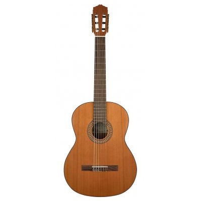 Classical Guitar Salvador Cortez CC-22 Solid Top Artist Series
