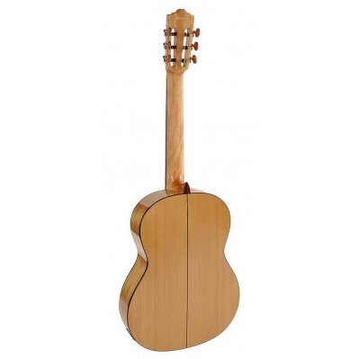 Famenco Guitar With Electronics Salvador Cortez CF-55E Flamenco Series 1