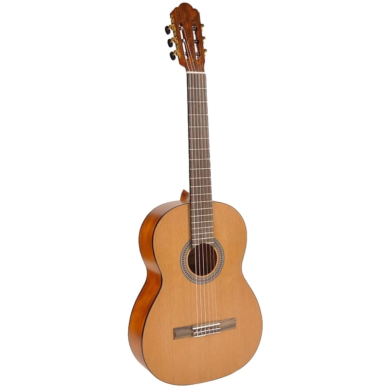 Classical Guitar Salvador CS-244