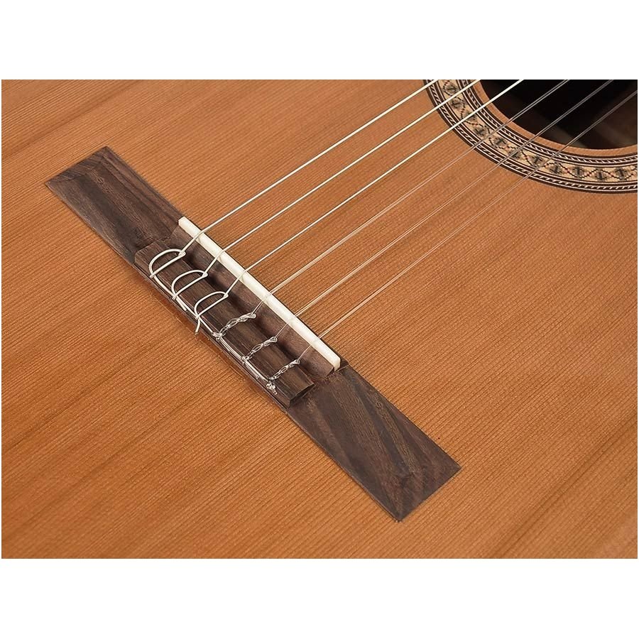 Classical Guitar Salvador Cortez CC-22 Solid Top Artist Series 4