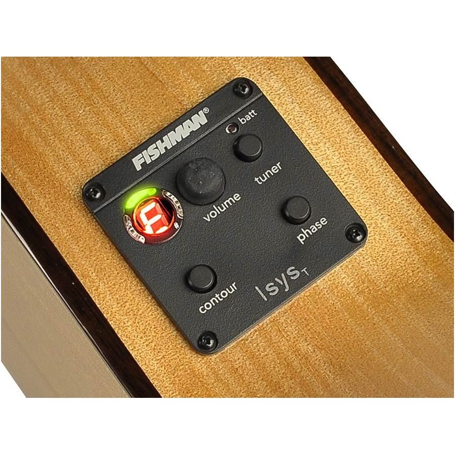 Famenco Guitar With Electronics Salvador Cortez CF-55E Flamenco Series 2 Famenco Guitar With Electronics Salvador Cortez CF-55E Flamenco Series 2