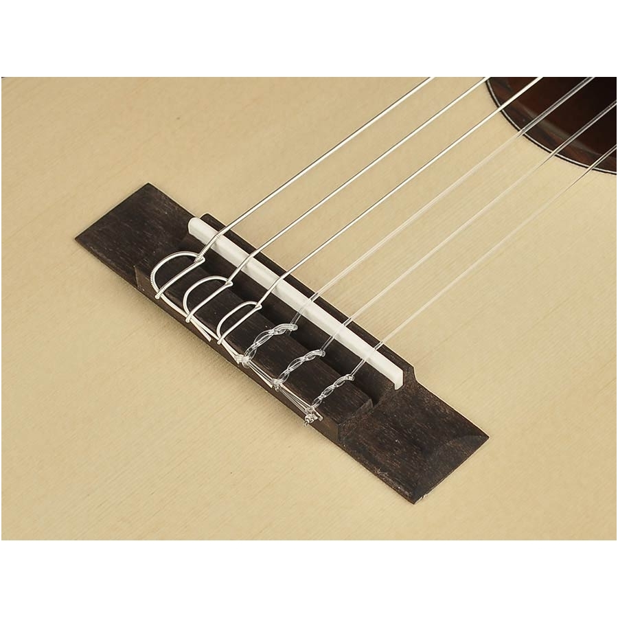 Salvador Cortez TC-460 Classic Guitarlele 5