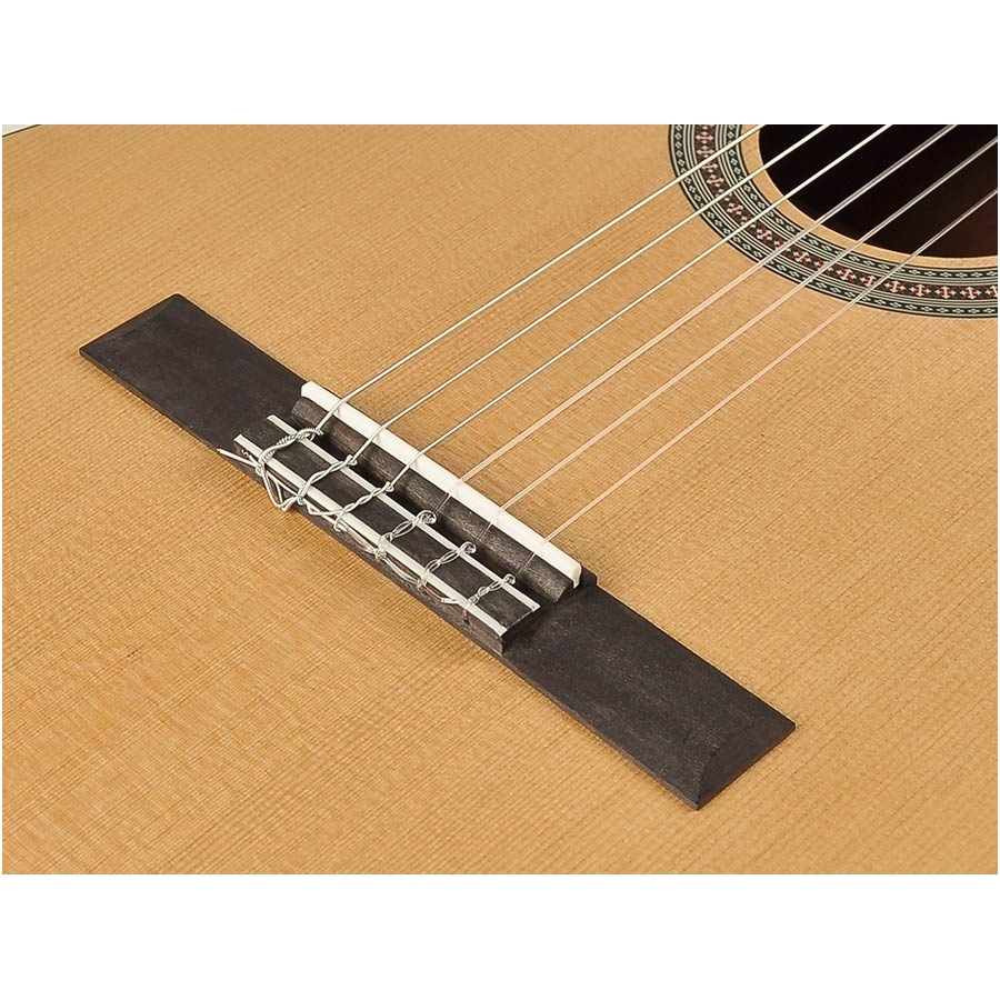 Klasikinė Gitara Salvador CS-234 3/4 Dydžio 2
