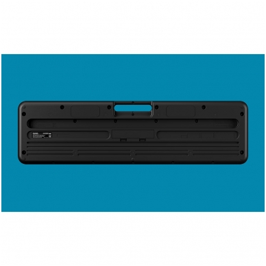 SINTEZATORIUS - CASIO LK-S250 4 SINTEZATORIUS - CASIO LK-S250 4
