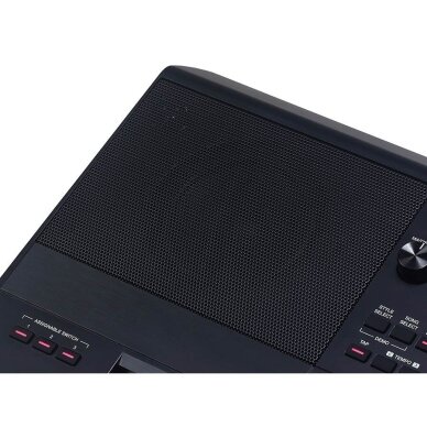 SINTEZATORIUS MEDELI AKX10s Arranger Pro Series digital workstation 5