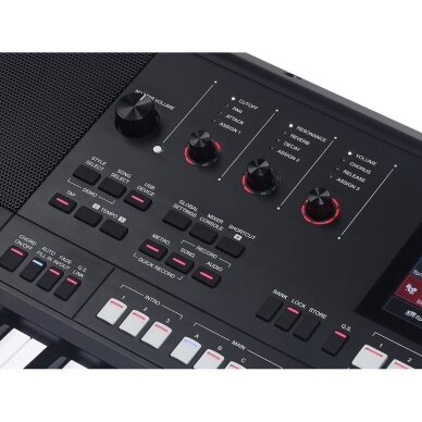 SINTEZATORIUS MEDELI AKX10s Arranger Pro Series digital workstation 6 SINTEZATORIUS MEDELI AKX10s Arranger Pro Series digital workstation 6