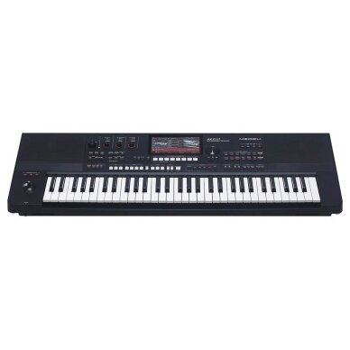 SINTEZATORIUS MEDELI AKX10s Arranger Pro Series digital workstation 1 SINTEZATORIUS MEDELI AKX10s Arranger Pro Series digital workstation 1