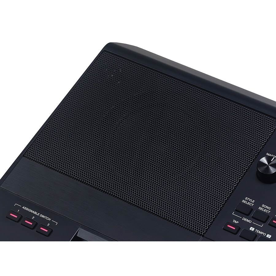 SINTEZATORIUS MEDELI AKX10s Arranger Pro Series digital workstation 5 SINTEZATORIUS MEDELI AKX10s Arranger Pro Series digital workstation 5