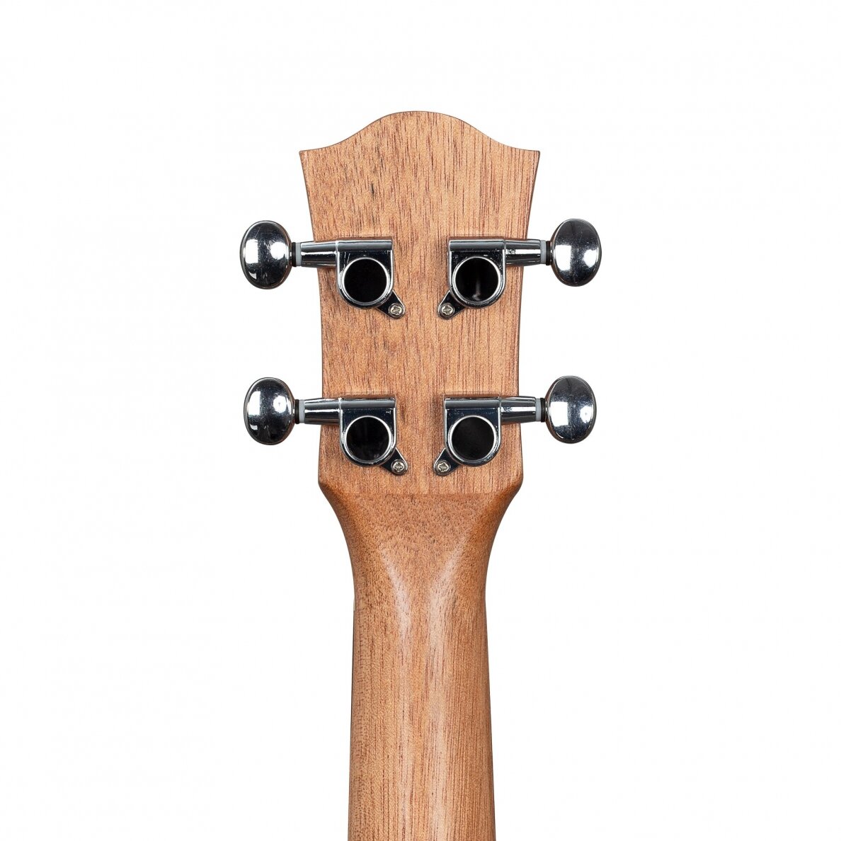 SOPRANINĖ UKULELĖ CASCHA HH-2602 ART SERIES LEAFY 6