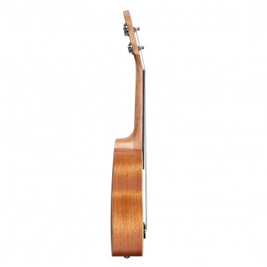 SOPRANINĖ UKULELĖ CASCHA HH-2602 ART SERIES LEAFY 3 SOPRANINĖ UKULELĖ CASCHA HH-2602 ART SERIES LEAFY 3